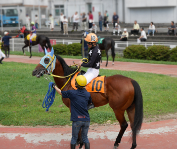 黒船賞 過去データ 傾向 予想のヒント