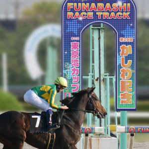 ダイオライト記念2020の結果と配当は?長距離JpnIIの激闘と歴代傾向を徹底解説