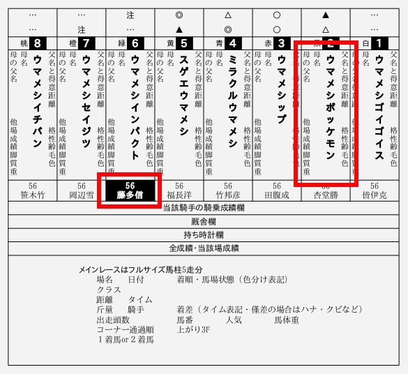 デイリー地方競馬-馬柱