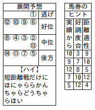 南関東競馬-ケイシュウ-ペース予想-展開予想欄