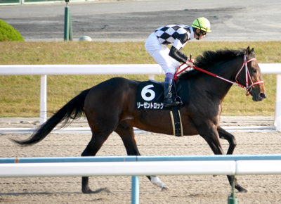 返し 馬 で すぐ 走り出す 馬 は