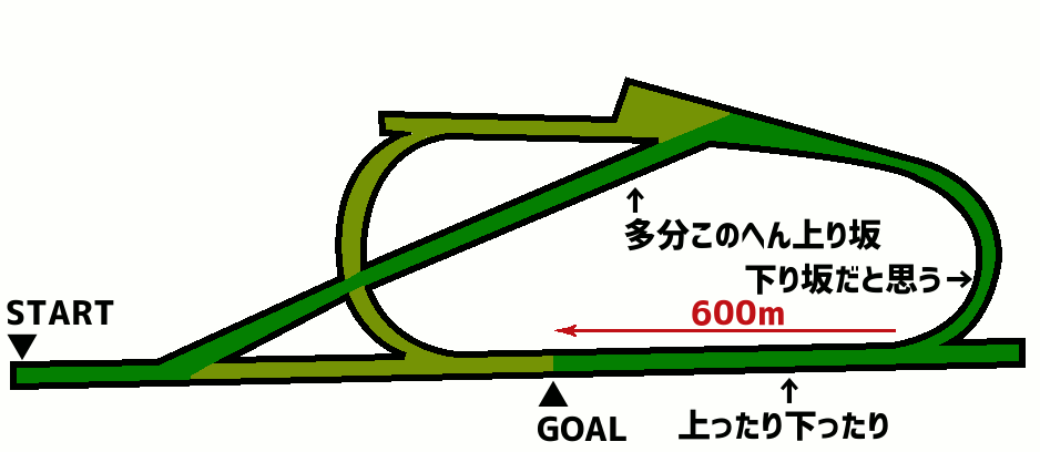 ロンシャン競馬場 芝2400m コース図