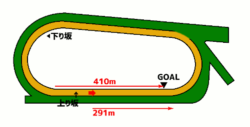 フリーウェイステークス・コース図