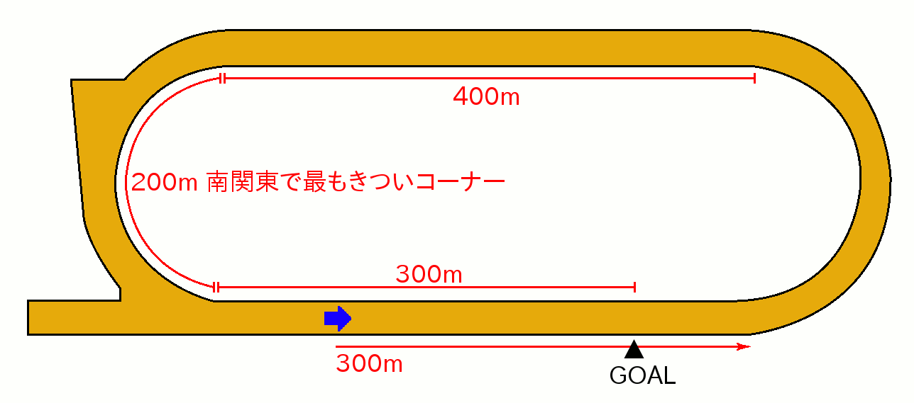 川崎1400m 特徴傾向 枠 脚質 人気 血統種牡馬 騎手 重不良 レコードタイム 競馬場特徴レポート