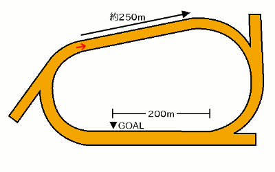 高知優駿・コース図