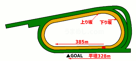 京都競馬場ダート1900mコース図