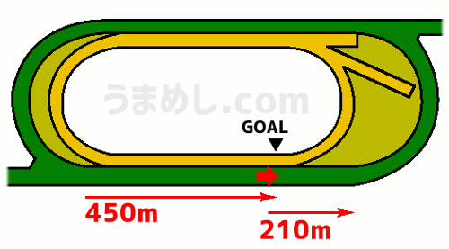 メイダン競馬場 芝2410m コース図