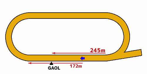 水沢競馬場1300m コース図