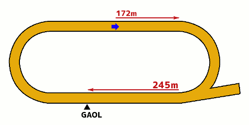 水沢競馬場1900m コース図