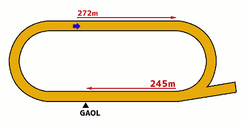 水沢競馬場2000m コース図