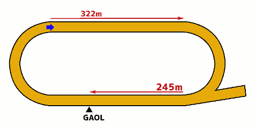 水沢競馬場850m コース図