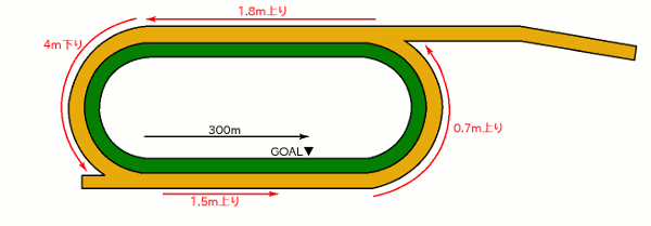 盛岡競馬場 高低差がわかるコース図