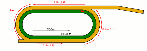 盛岡競馬場 芝1000mコース図