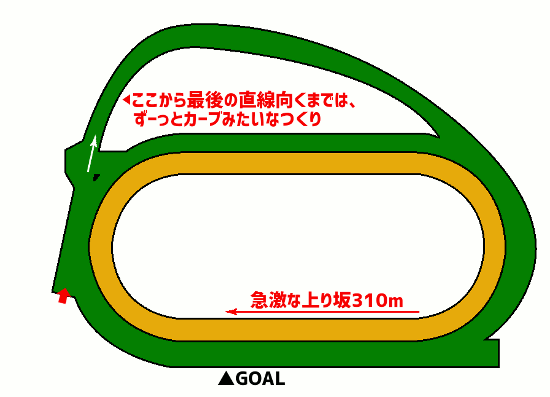 中山競馬場・芝1600mコース図