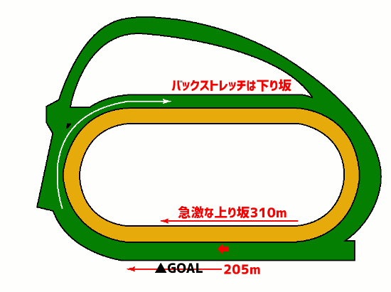 中山競馬場 芝1800mコース図