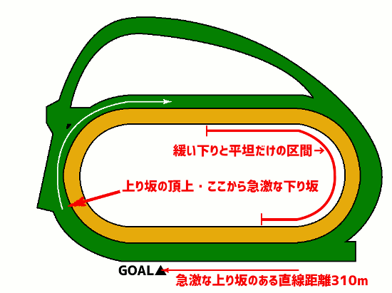 中山競馬場-芝2000m-コース図 その2