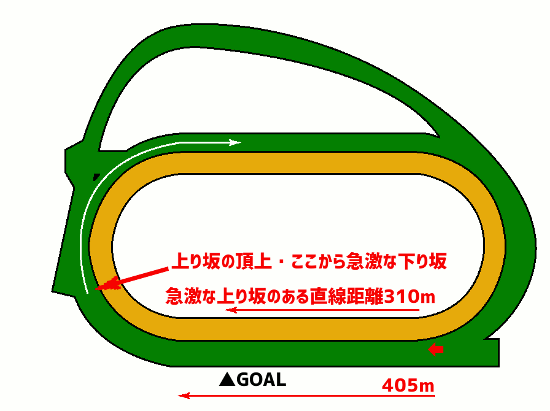 中山競馬場-芝2000m-コース図