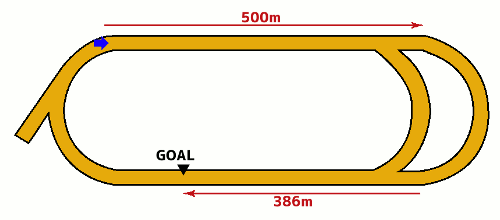 大井競馬場1200m