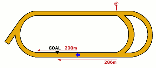 大井競馬場1500m