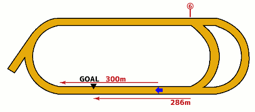 大井競馬場1600m