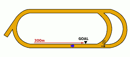 大井競馬場1650m