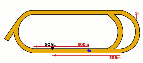 大井競馬場1800m