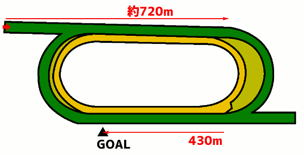 シャティン競馬場 芝1600m コース図