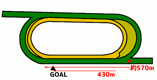 シャティン競馬場 芝2400m コース図