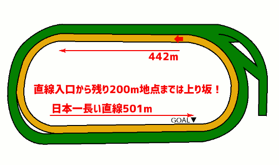 アハルテケステークス・コース図