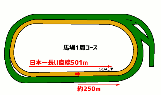 東京競馬場・ダート2100mコース図