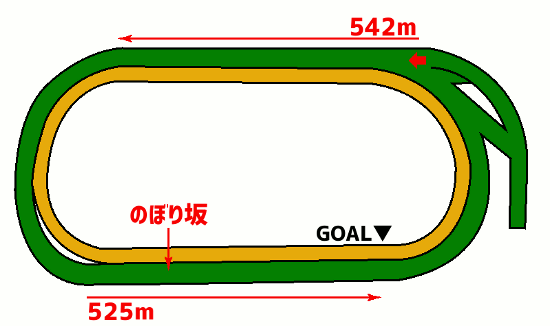 ヴィクトリアマイル・コース図