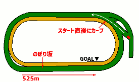 東京競馬場・芝1800mコース図