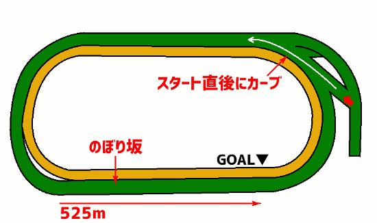 エプソムカップ・コース図