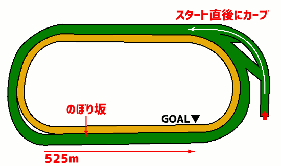 東京競馬場・芝2000mコース図