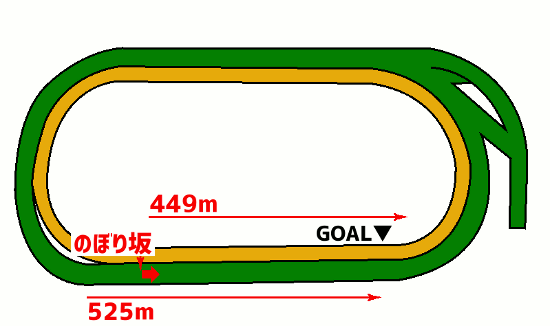 東京競馬場・芝2500mコース図