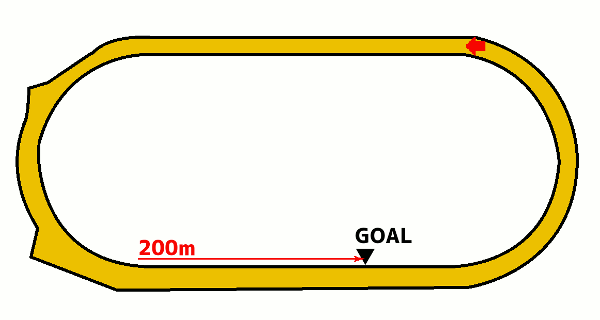 浦和競馬場800mコース図