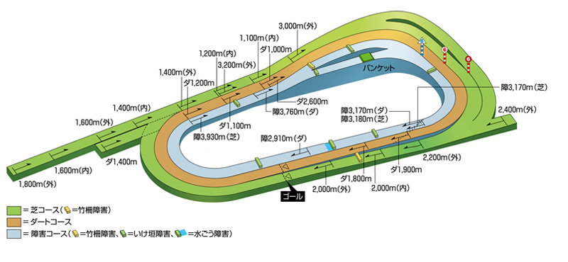 京都競馬場コース図