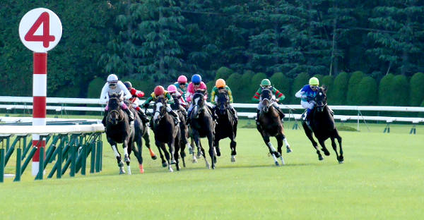 京都芝内回りコースのバンク角