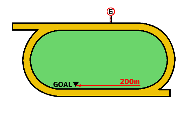 佐賀競馬場コース図