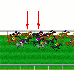 多頭数の馬群に包まれた内枠馬の図