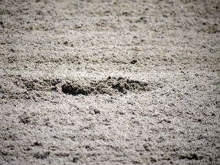盛岡競馬場の砂厚