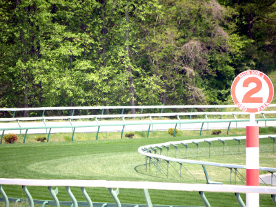 盛岡競馬場の芝コース画像