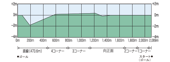 阪神競馬場-芝外-高低差